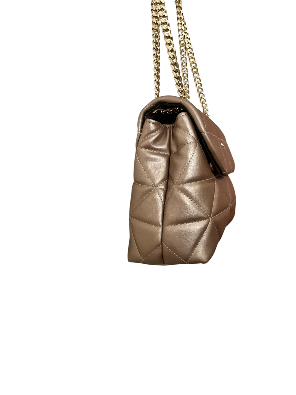 Silver&Polo champaign bag