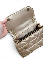 Silver&Polo champaign bag