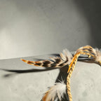 Aldo feather necklace