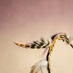 Aldo feather necklace