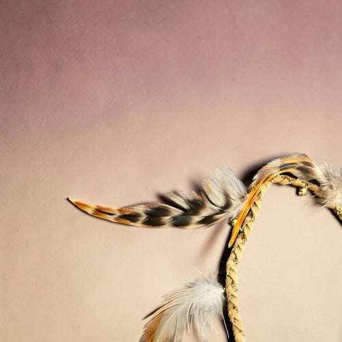 Aldo feather necklace