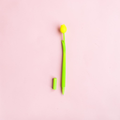 Flower pen